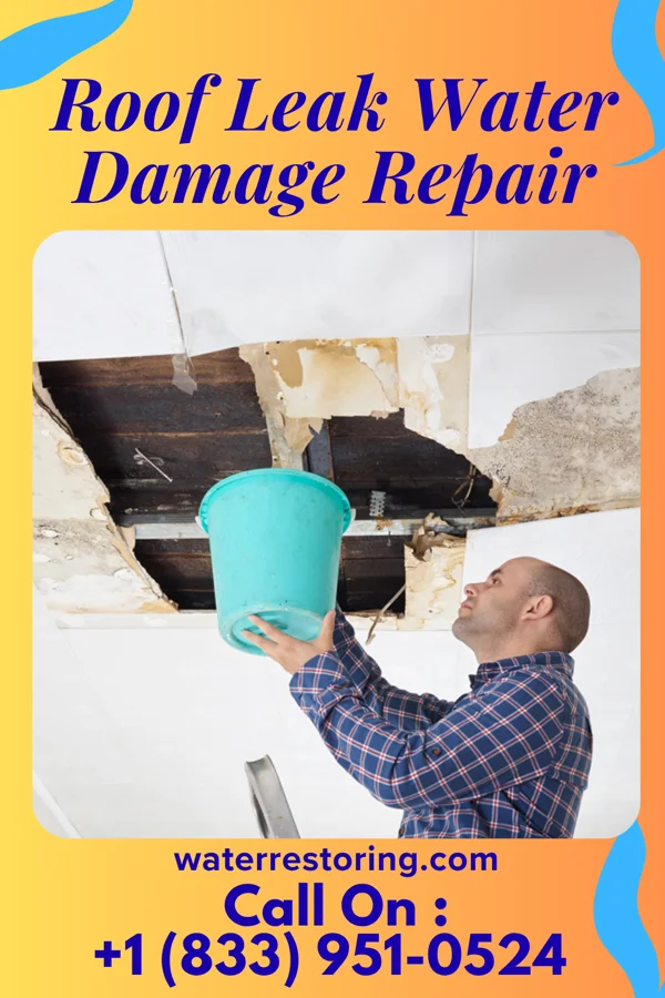 Roof Leak Water Damage Repair in Walford, IA