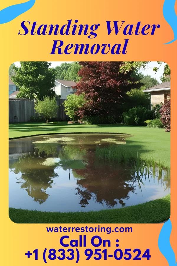 Standing Water Removal in Walford, IA